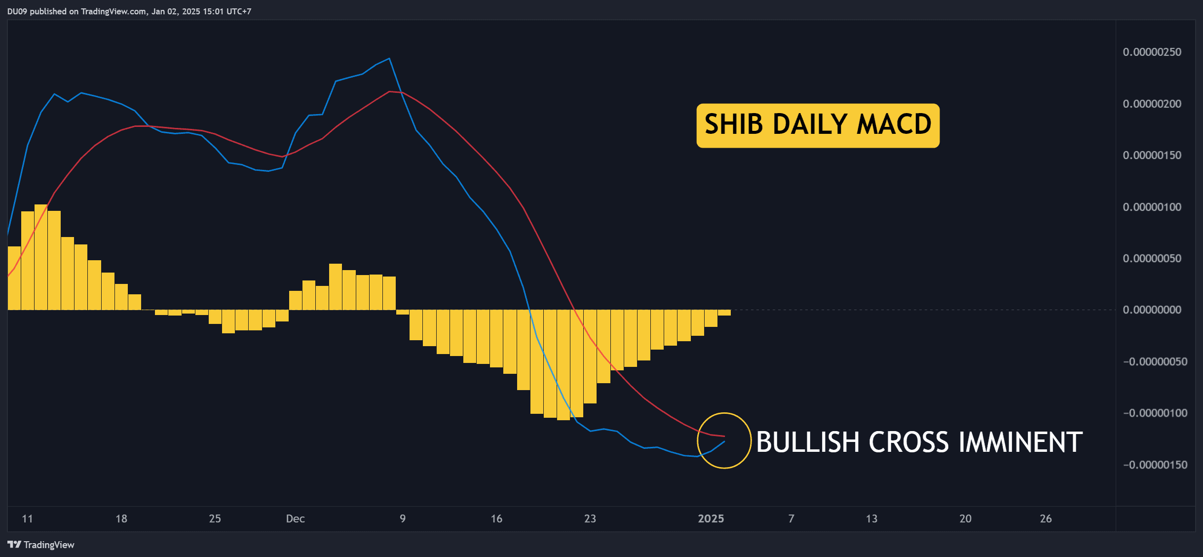 SHIBUSDT_2025-01-02_15-01-13
