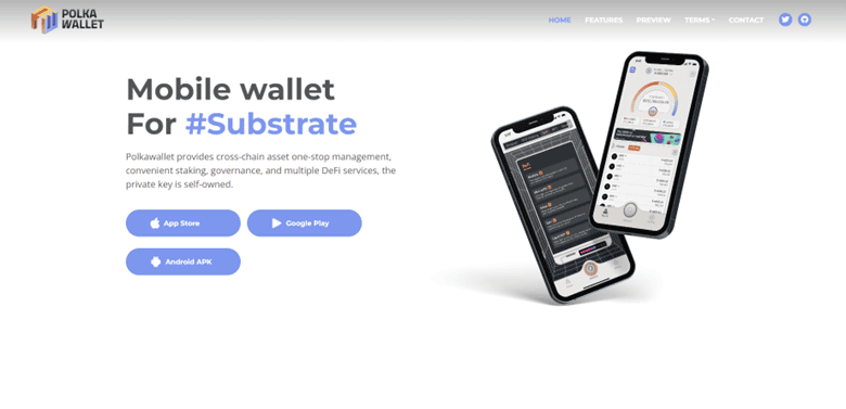 polkadot_wallet_polkawallet